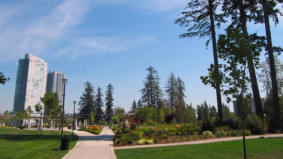 Holland_Park_in_Late_Summer.jpg