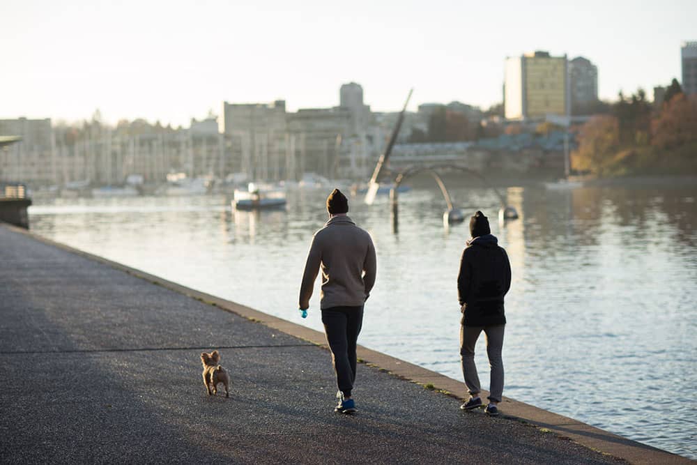 seawall-lg.jpg