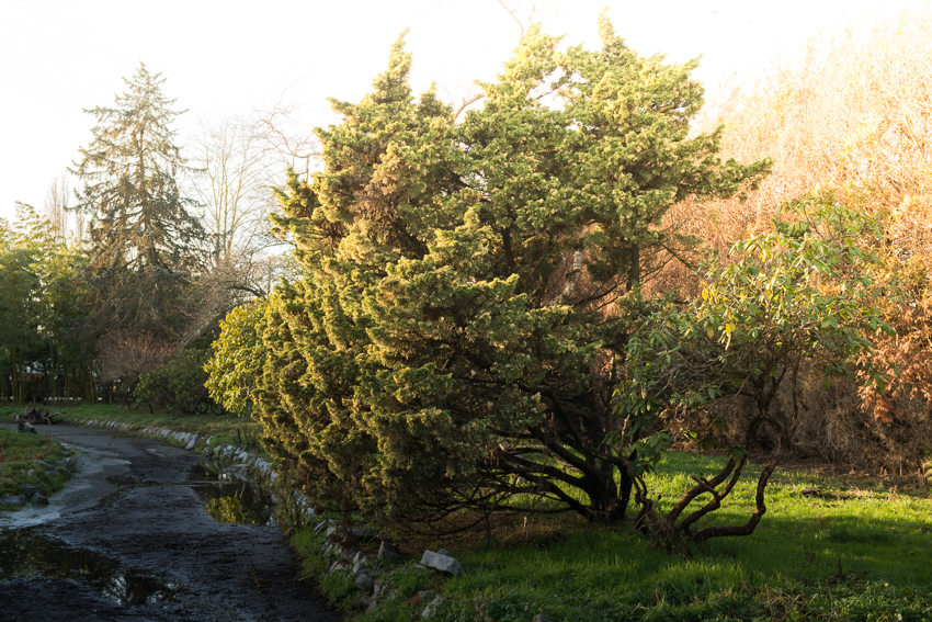 Gardens2-1.jpg Gardens2-1.jpg