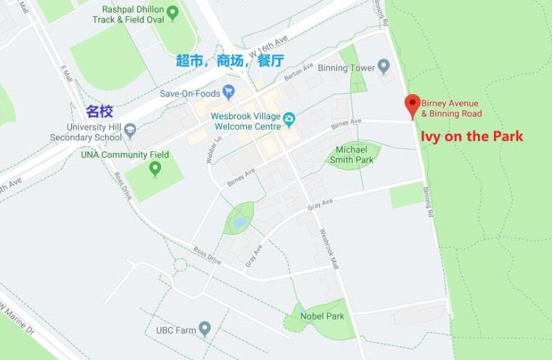 816976485.jpg