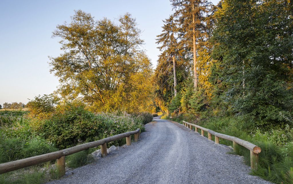 Viridian-Trail-1-1024x642.jpg Viridian-Trail-1-1024x642.jpg